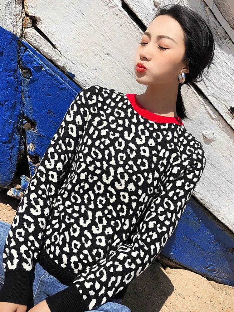 Women's Leopard Print Crewneck Jumper – Contrast Colour Knit Pullover